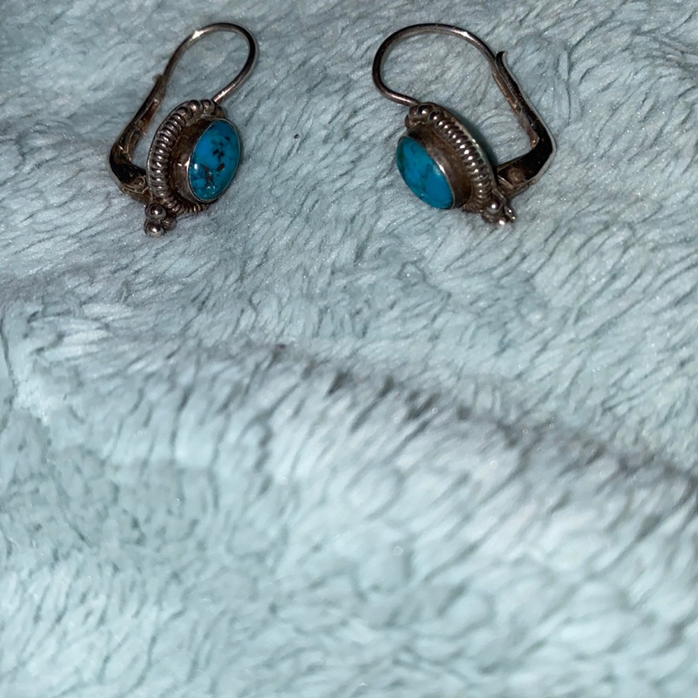 Blue dangly earrings